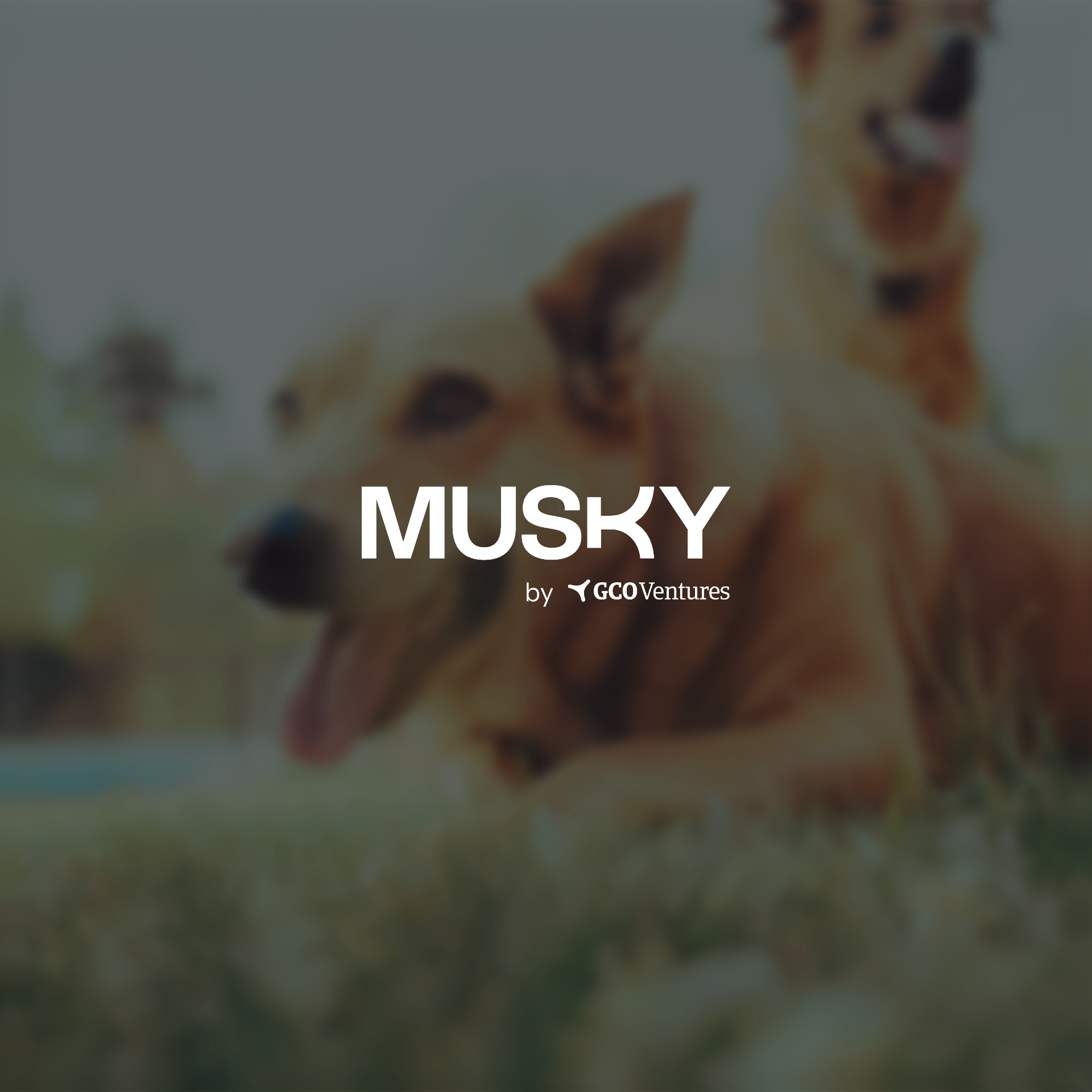 Musky